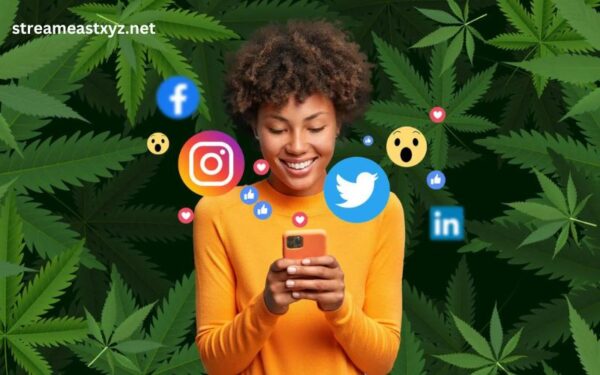 How to Create a Successful Cannabis Business Social Network