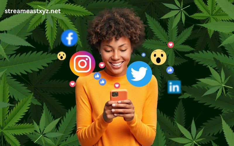 Cannabis Business Social Network