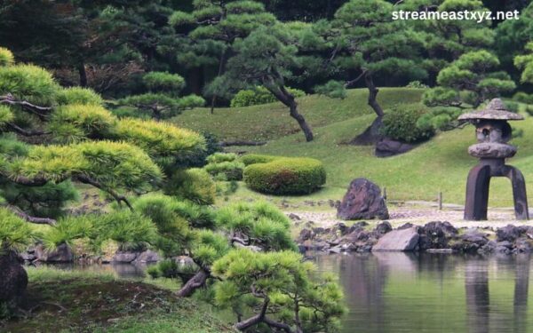 What are some common plants used in Japanese gardens?