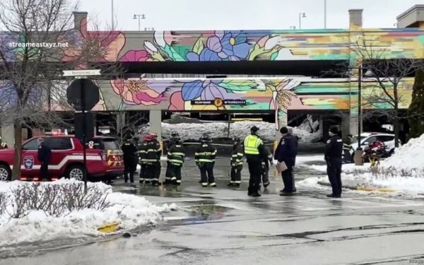 Parking Garage Collapse at Bayshore Mall